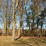 Home4golf Uttlau Apartment *